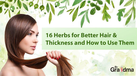 16 Ayurvedic Herbs for Better Hair Thickness and How to Use Them