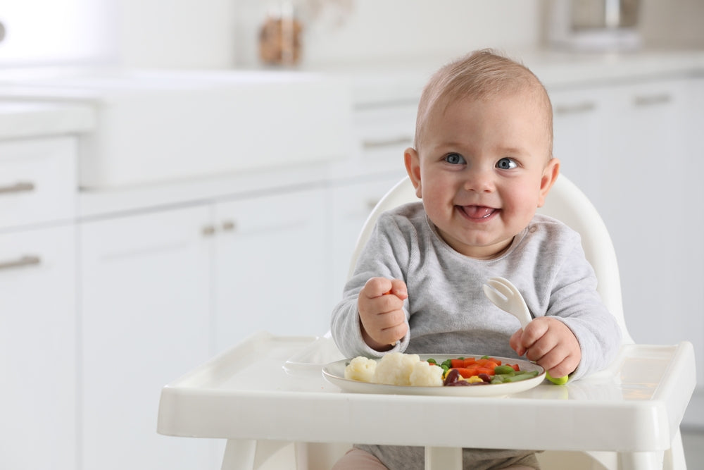 5 Quick and Nutritious protein-rich food for babies Busy Parents